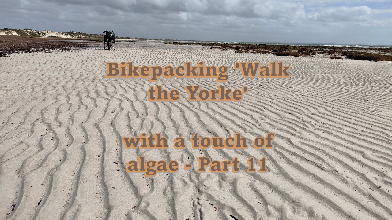 Bikepacking 'Walk the Yorke' - with a touch of algae- Part 11