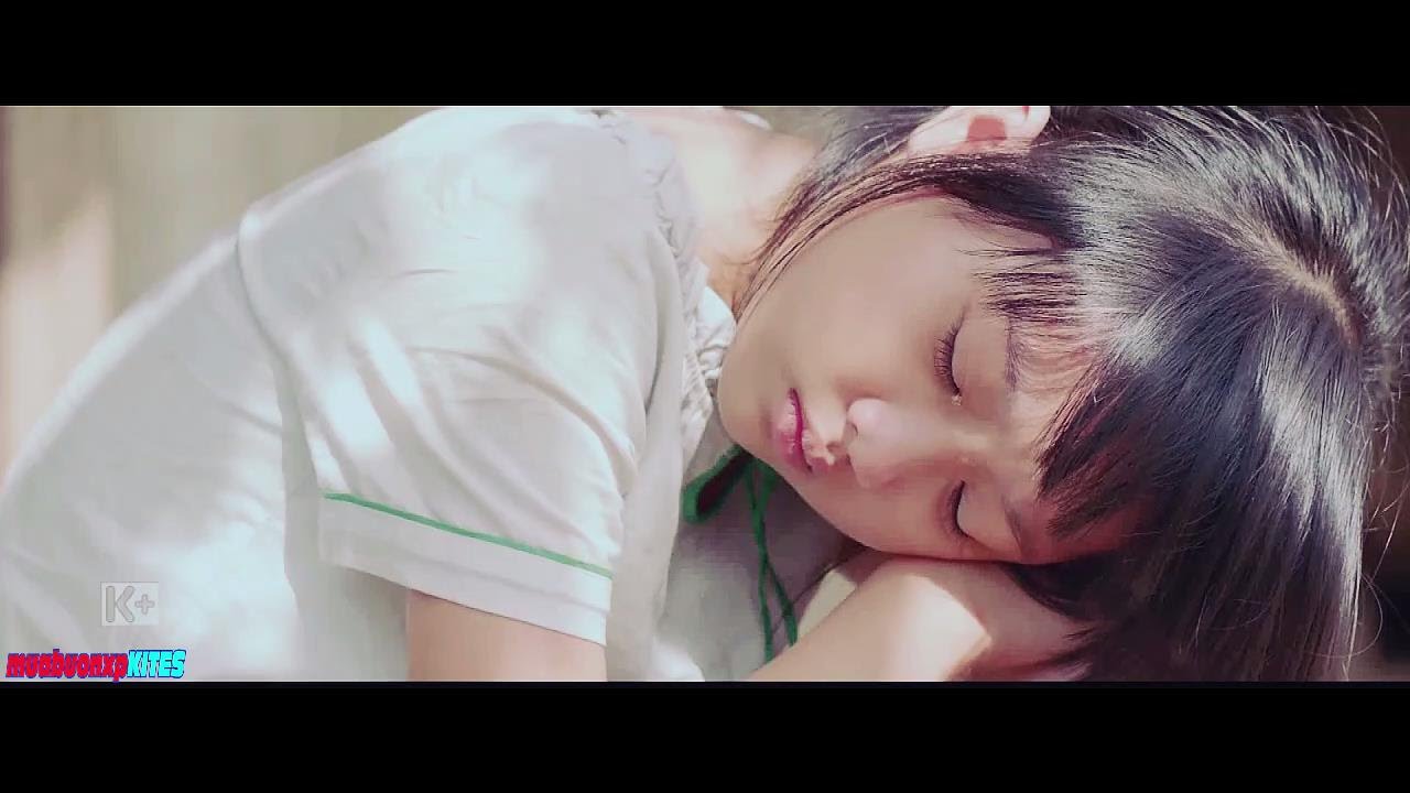 [ MV Fanmade ] Tôi Thấy Hoa Vàng Trên Cỏ Xanh - Ái Phương