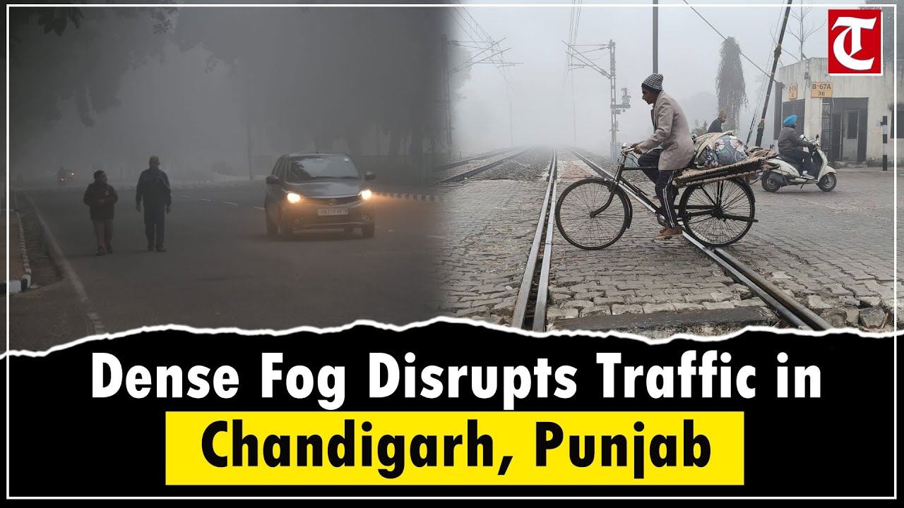 Season&rsquo;s First Fog Hits Chandigarh; Safety Tips as Dense Fog Persists in Punjab