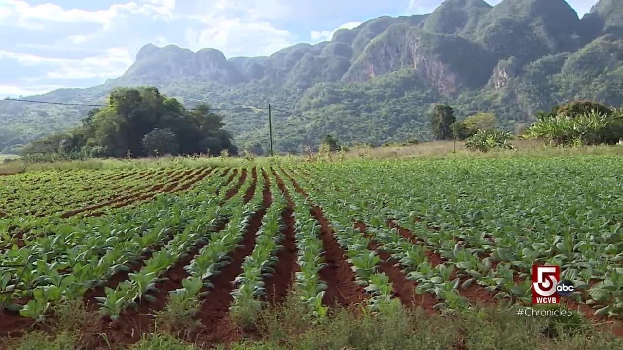 Take an adventure to the countryside of Cuba