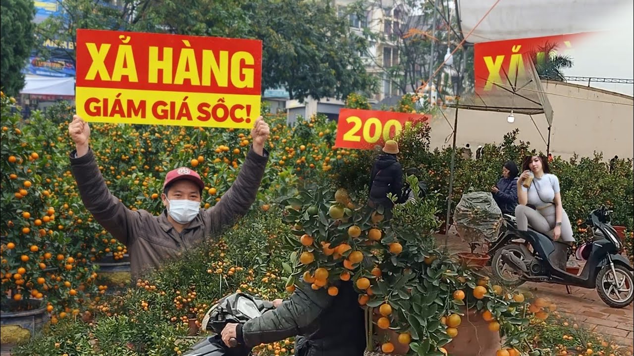 27 QUẤT TẾT 2026 SỢ VỚ NỢ HÔM NAY KHÁCH HỎI BAO NHIÊU CŨNG BÁN 