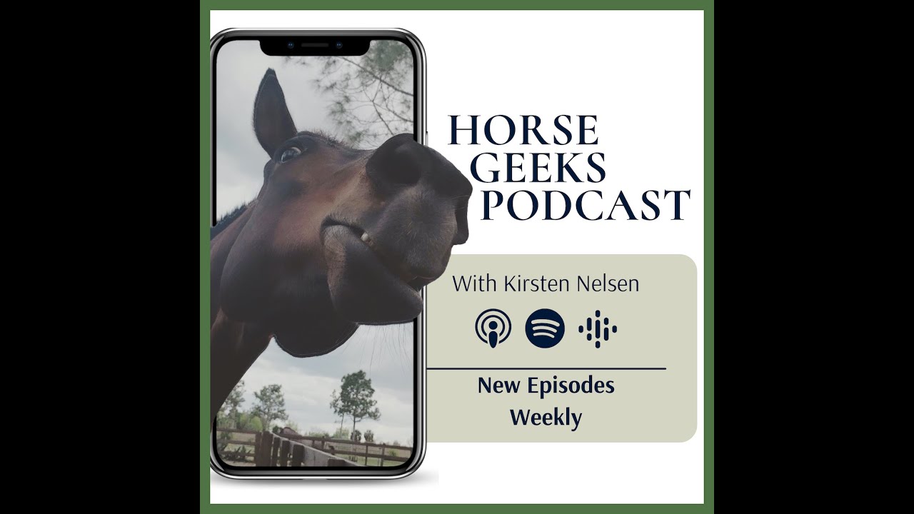 213: Разговор по душам с лошадьми