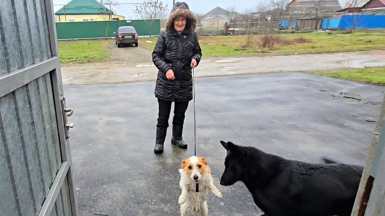 ✨Сделал дело — гуляй смело✨Подарок от крёстных✨Покупки✨Распаковка✨