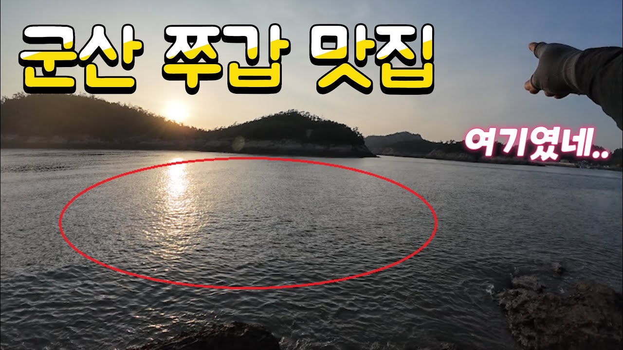 주어진 시간 90분 주꾸미,갑오징어 몇마리 잡았을까? #군산워킹낚시