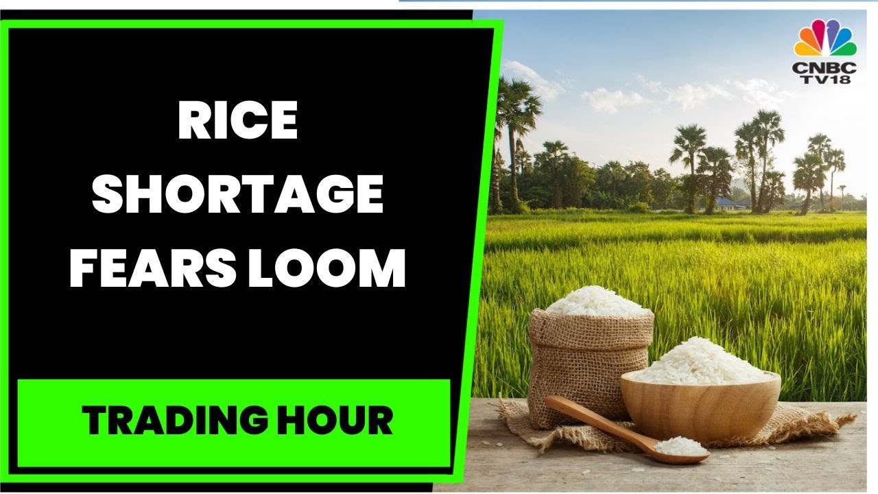 Rice Shortage Fears Loom Due To Supply Woes On Ukraine War, Bad Weather In China & Pakistan