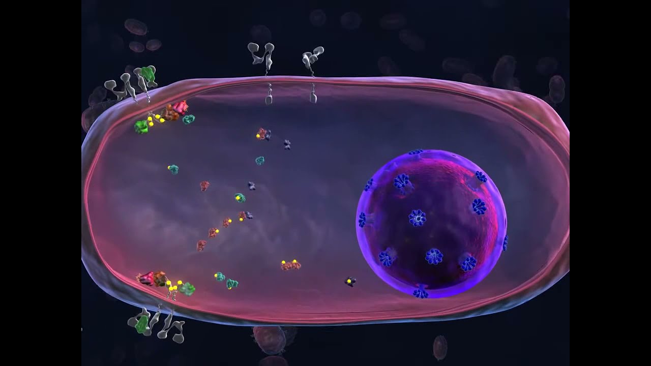 eLearning Developer Biomedical Animation Portfolio &ndash; Aaron Shoop