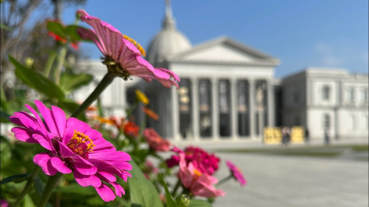 🇹🇼Tainan Chimei Museum 走進臺南歐洲宮殿：奇美博物館自動樂器與世界級收藏揭秘