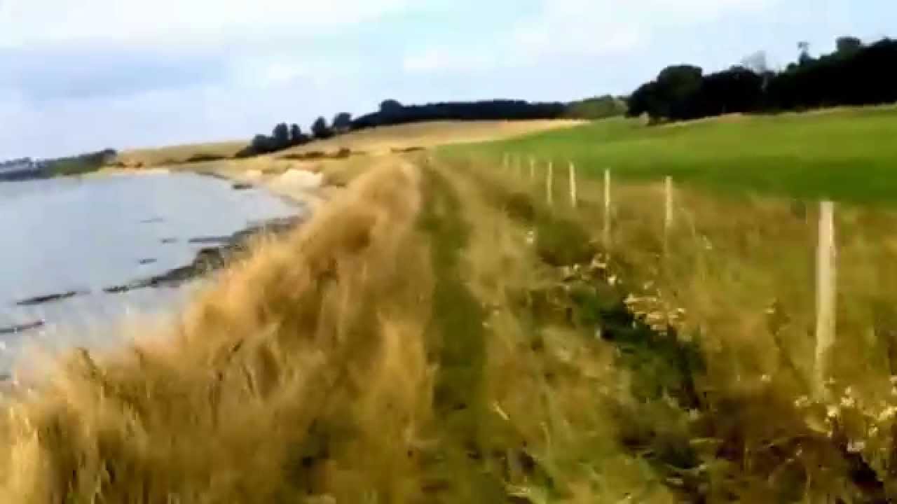 Walking My Dog Along Seawall At Creeksea Filmed With Hyperlapse Burnham on Crouch