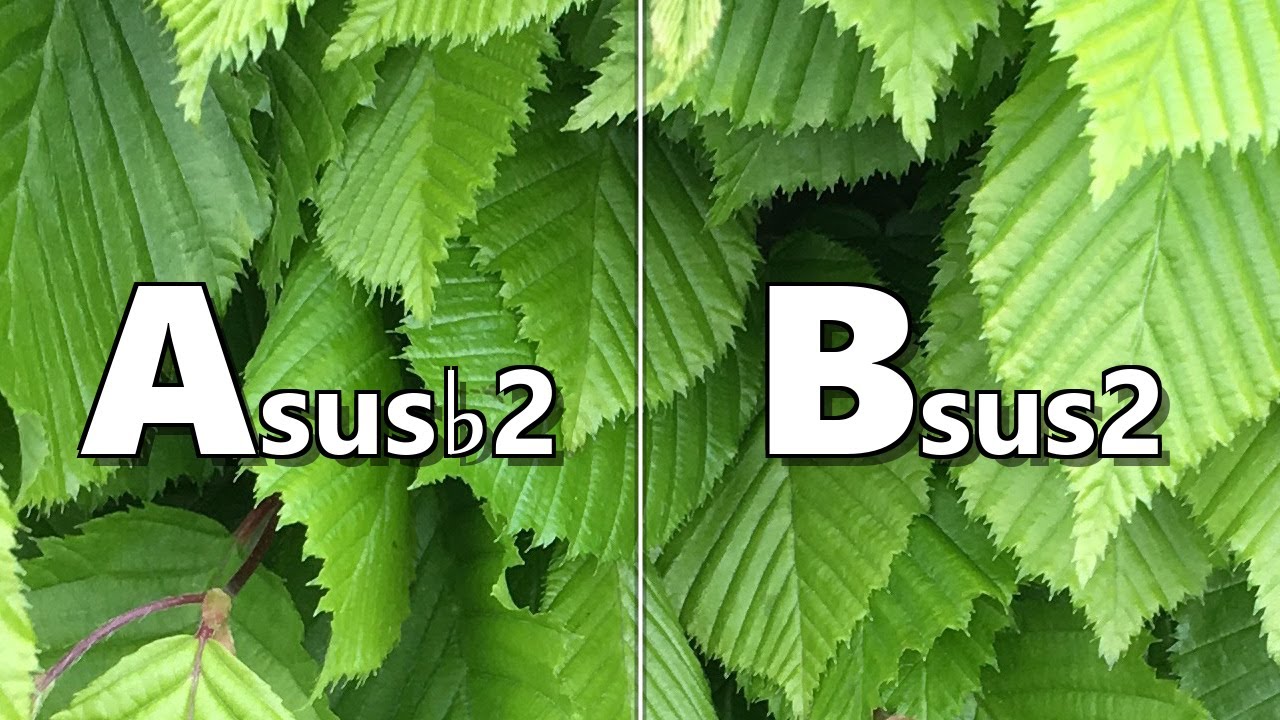 Asus b2 to Bsus2 Backing Track