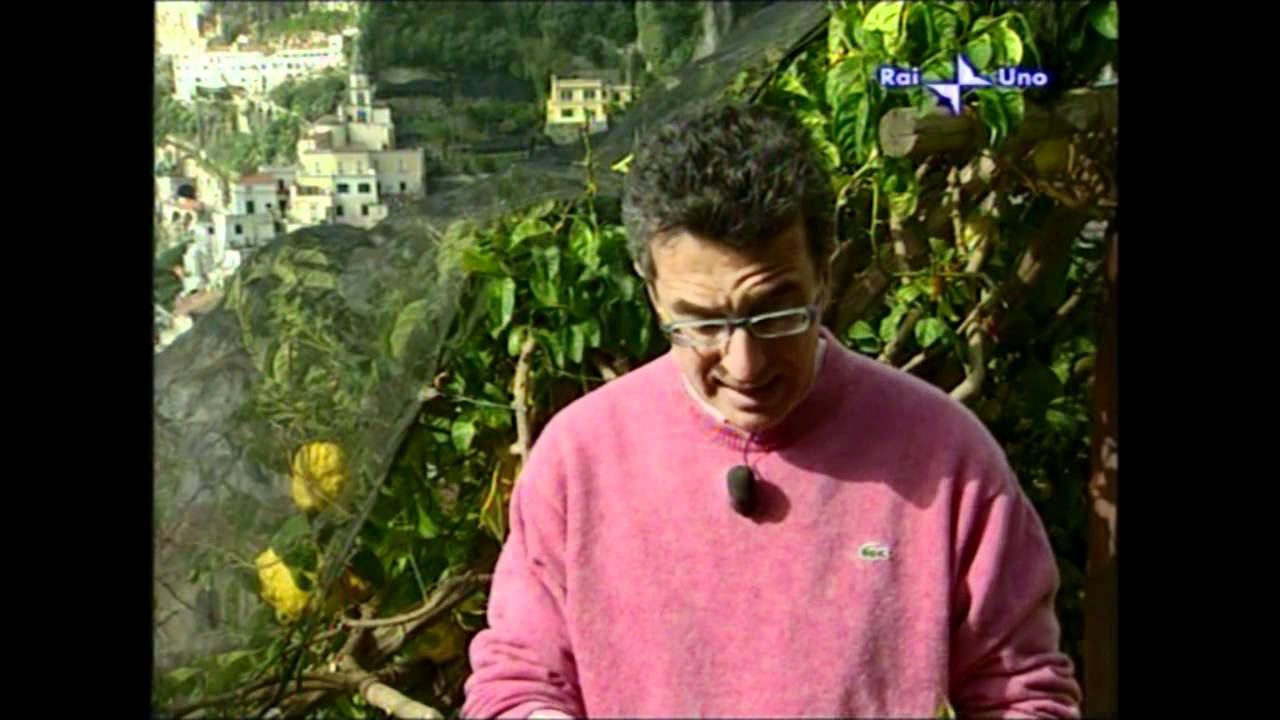 Il limone - dott. Ciro Vestita
