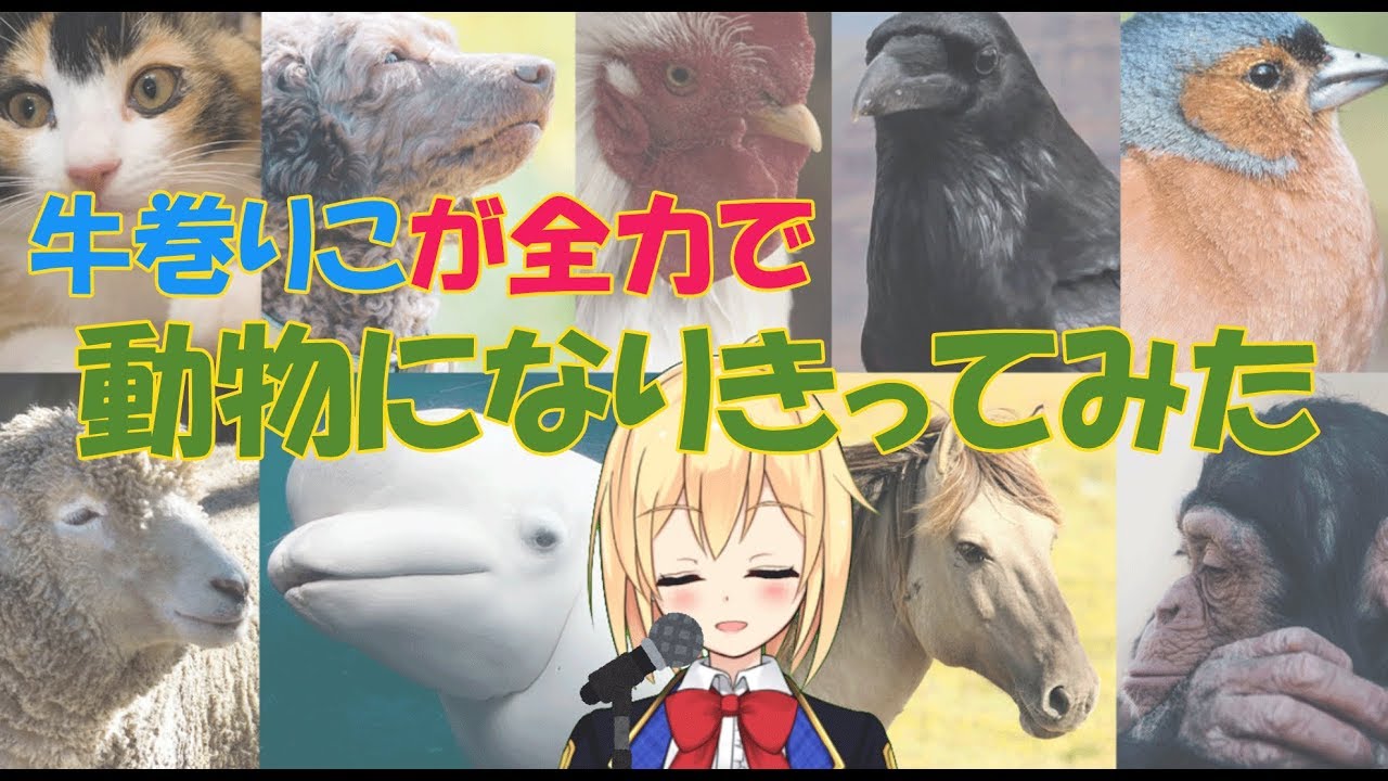 【どっとライブ】【アイドル部】牛巻りこが全力で動物になってみた【声真似】