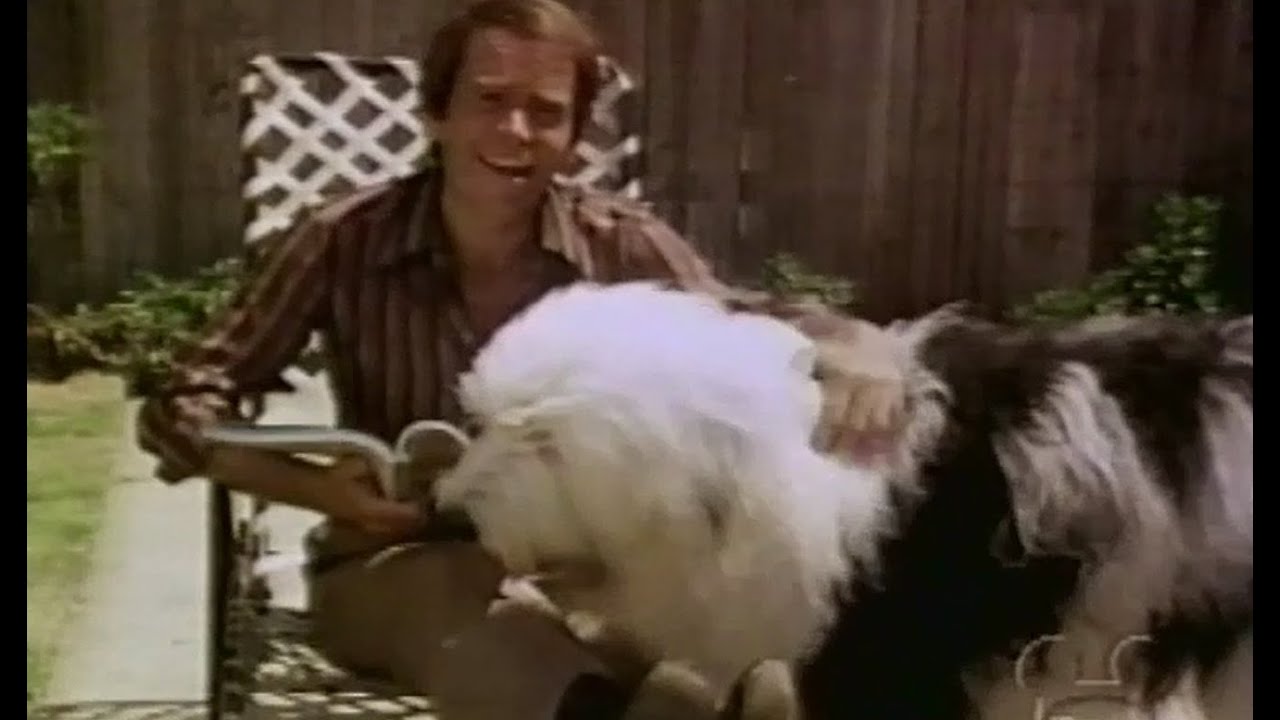 "Disney's Greatest Dog Stars" Season 23 Ep 8 (Edited)