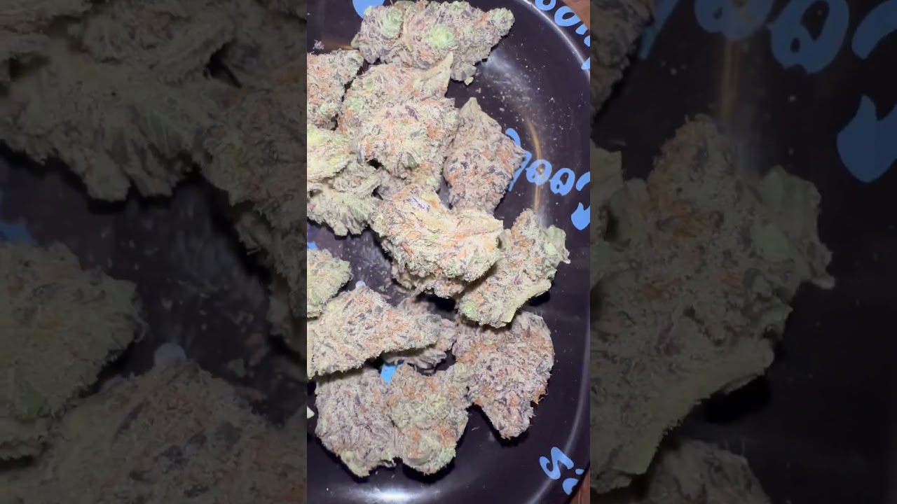 Gelato Cake (Strain Review) #review #thc #terps #smokesesh #aliens