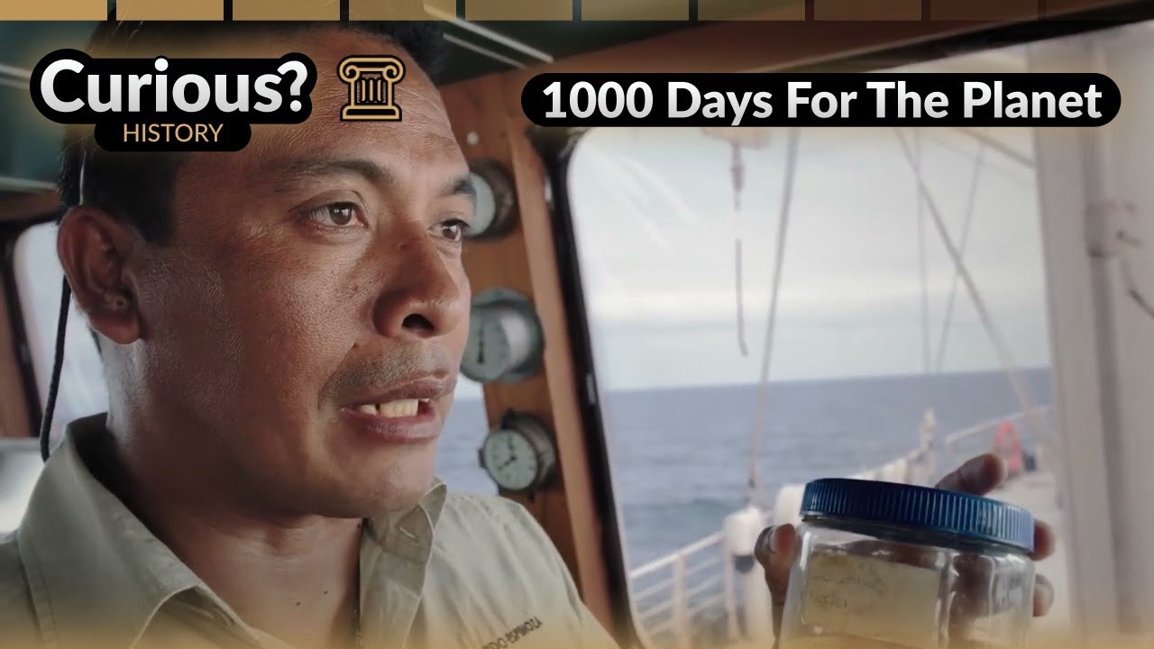 Galapagos Penguins Starving from El Nino Events | 1000 Days For The Planet
