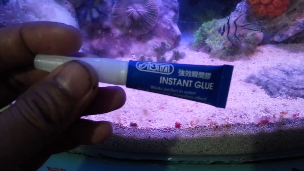 Test n Review: CORAL GLUE