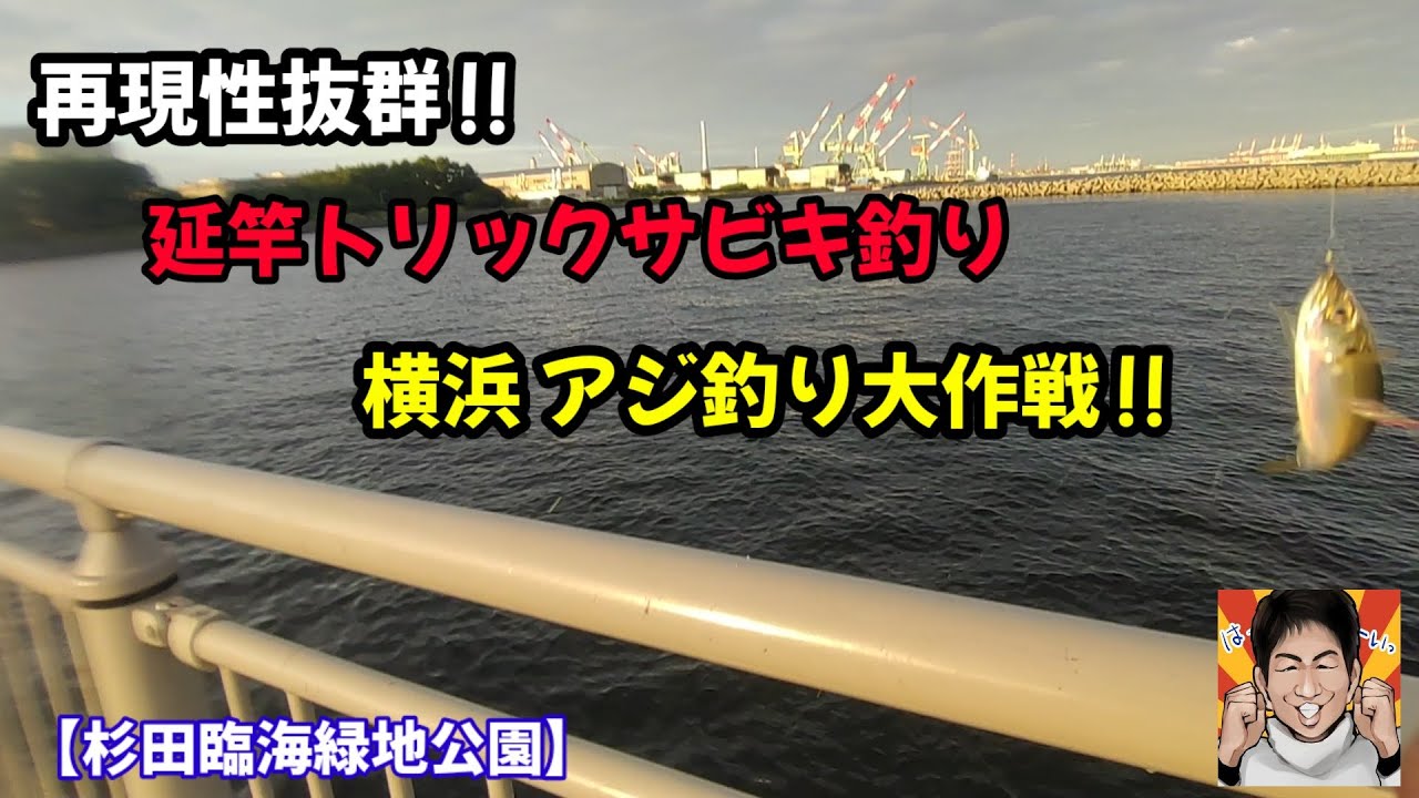 海釣り初心者にもオススメ!!延竿サビキ釣りで横浜のアジ釣り!!