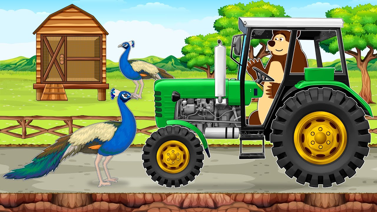 Tractor Transport & Feeding Peacocks 🦚 | Building a Peacock Cage | Farm Vehicles Animation