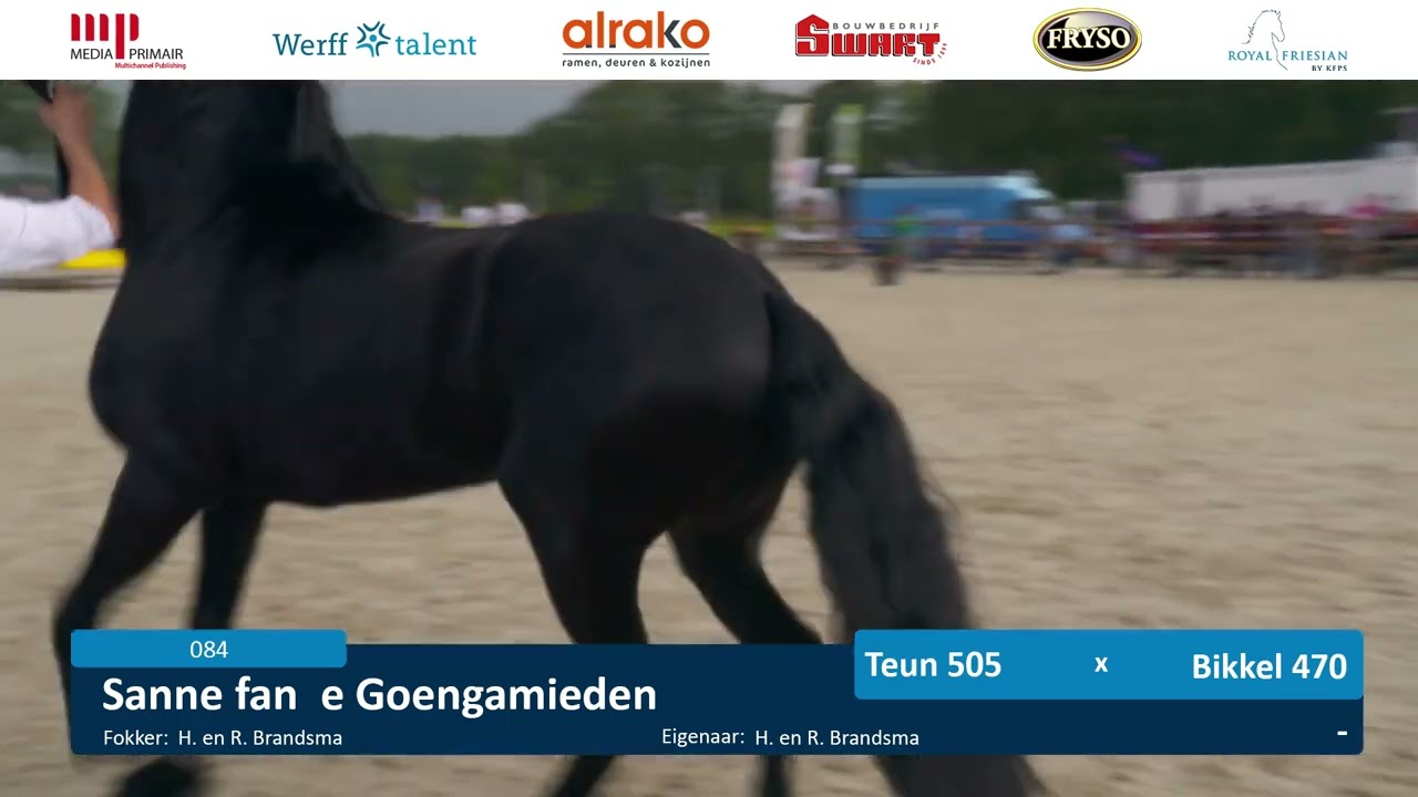 Fokdag | It Fryske Greidhynder | Baan 2 | 22 Juni 2024