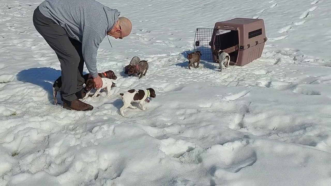 Reagan x Porter '26 - Week 6