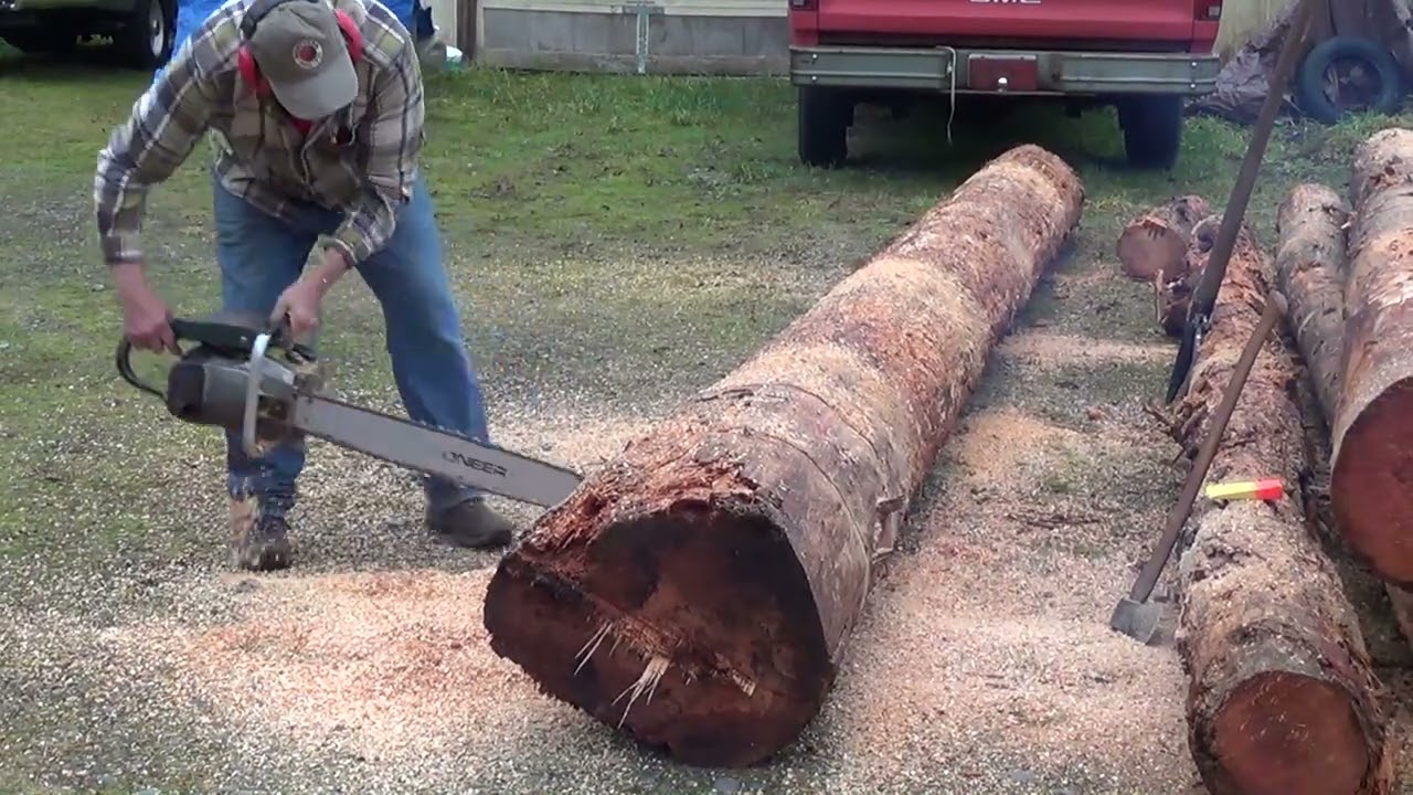 Mr. Obsolete: The Vintage Chainsaws We Use 60cc + Bigger