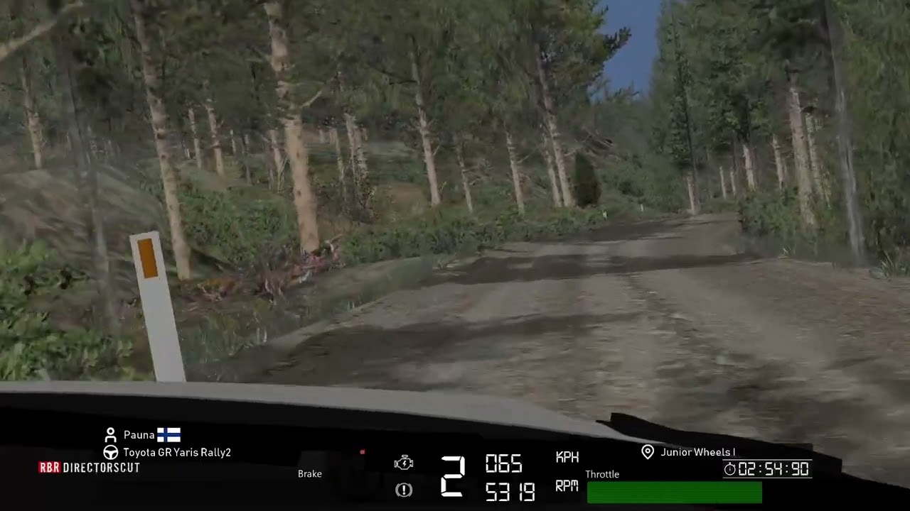 RBR | DCSFI CUP | Rally 1 | SS5 Junior Wheels