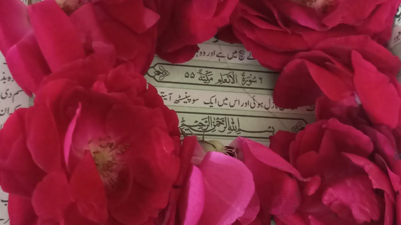 الأعمال الصالحة الأعمال الخيرية is live سورۃ الانعام
