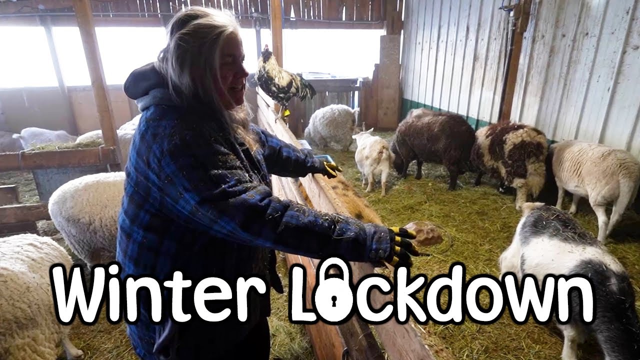 Farm Vlog 623 — Зимняя изоляция уже наступила