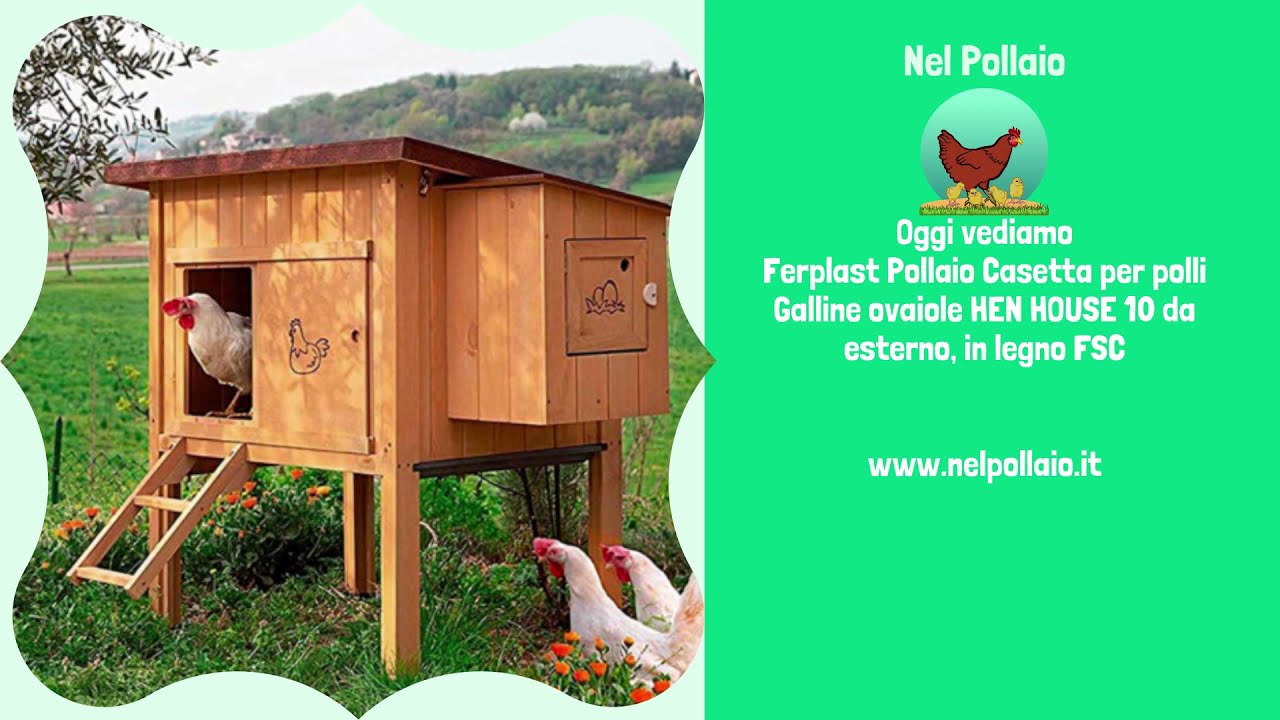 Pollaio Prefabbricato per Galline Ovaiole - Economico