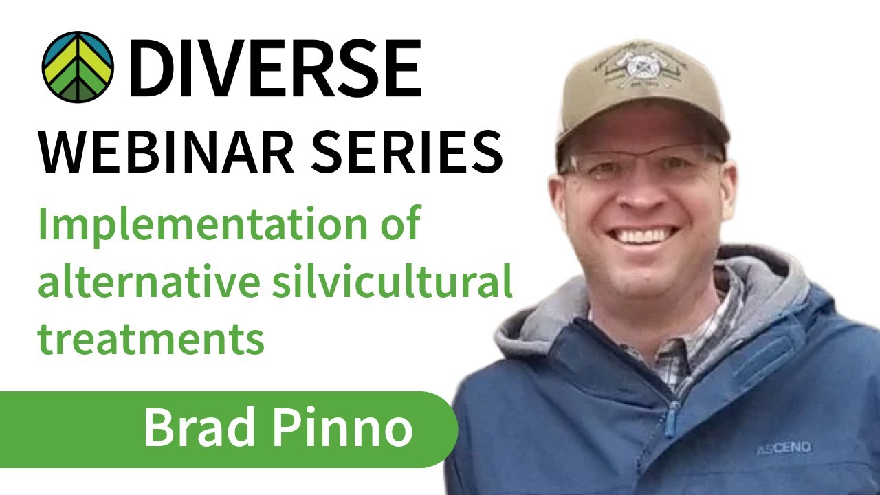 Diverse Webinar Series #4: Implementation of alternative silvicultural treatments