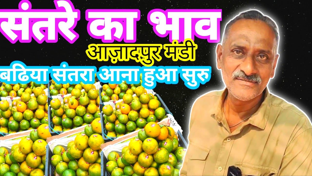 आजादपुर मंड मै संतरा क्या भाव बिका कहां से संतरा आ रहा है |Azadpur mandi orange 🍊 wholesale market