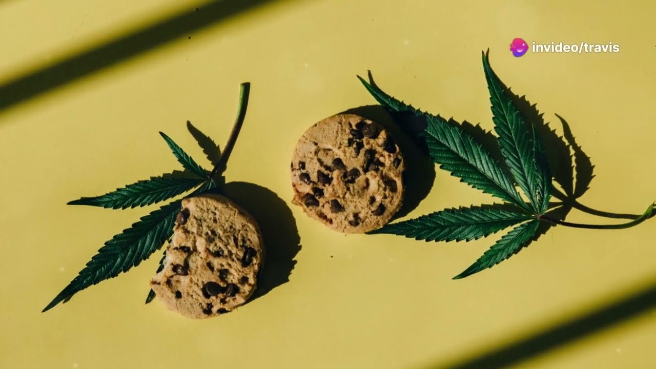 The Miracle  Alien Cookies / MAC1 BackStory