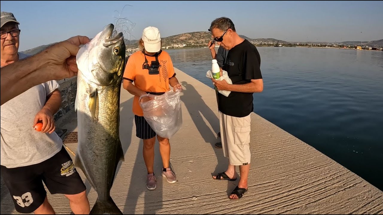 Τα Γοφαρια του λιμενοβραχιονα
