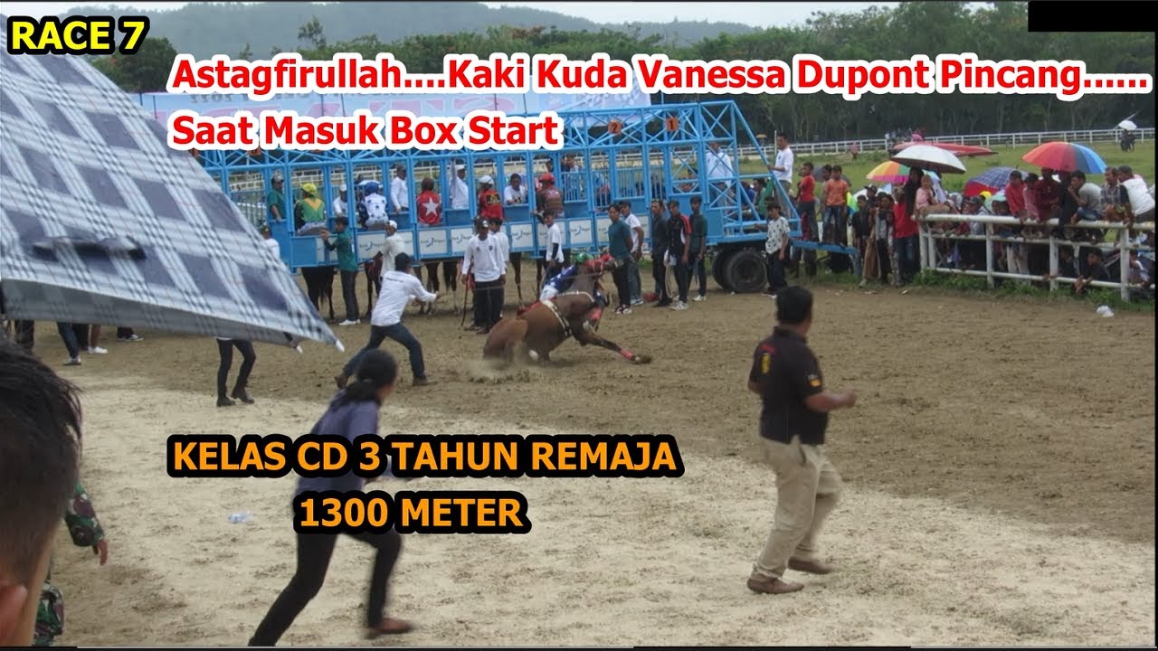 RACE 7 || Pacu Kuda SAWAHLUNTO DERBY 2022 - KELAS CD 3 TAHUN REMAJA