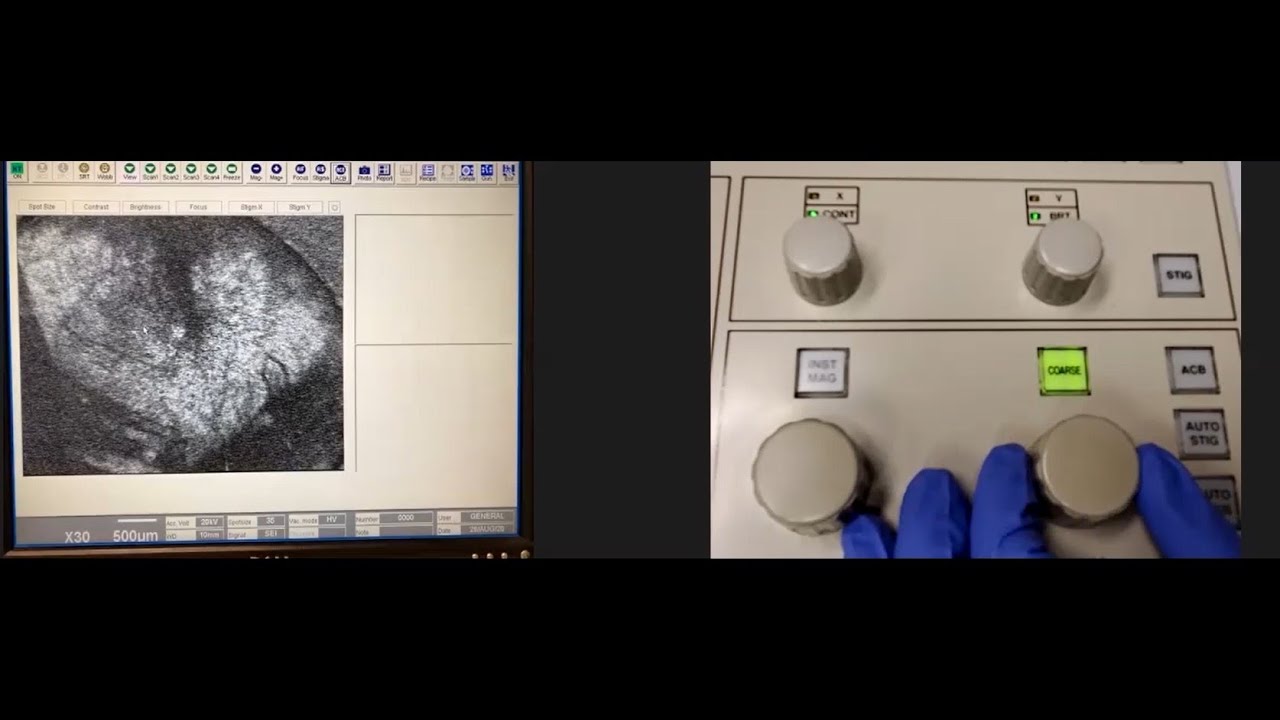 MRL Training Video for the JEOL 6060LV SEM