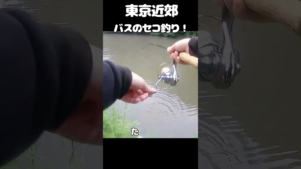 バスのセコ釣り！カットテールでチョンチョン！　 