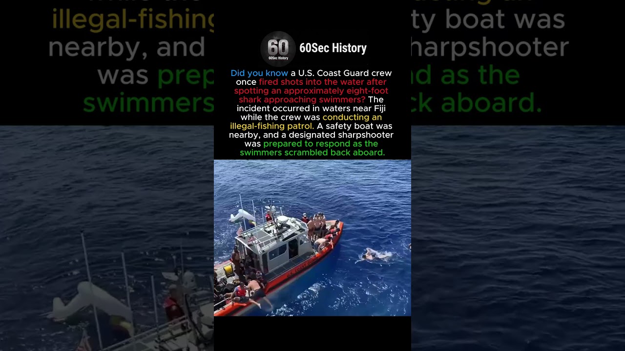 Why the Coast Guard Opened Fire at a Shark? #shorts