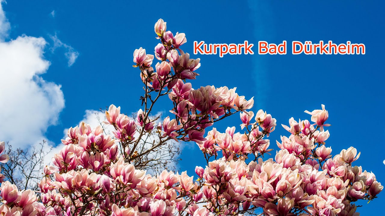 Kurpark Bad D&uuml;rkheim, Rheinald Pfalz. Germany resorts КУРОРТЫ В ГЕРМАНИИ