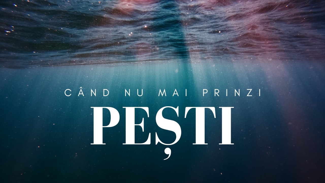 Edi Gavrilovici - Când nu mai prinzi pești.