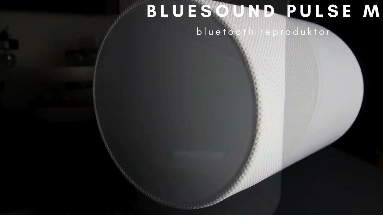 BLUESOUND PULSE M