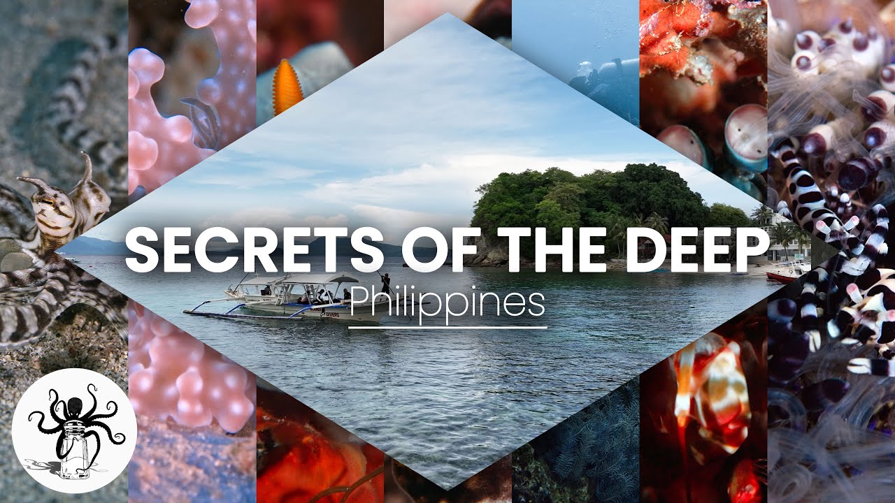 Secrets of the Deep | Philippines [4K]