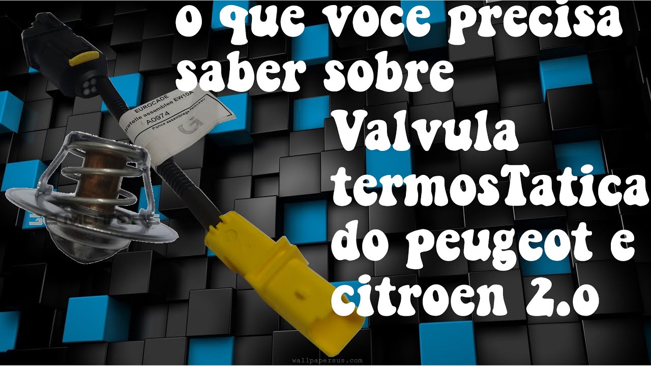 Dica Técnica Válvula Termostática Peugeot Citroen 2.0 16V Aquecendo