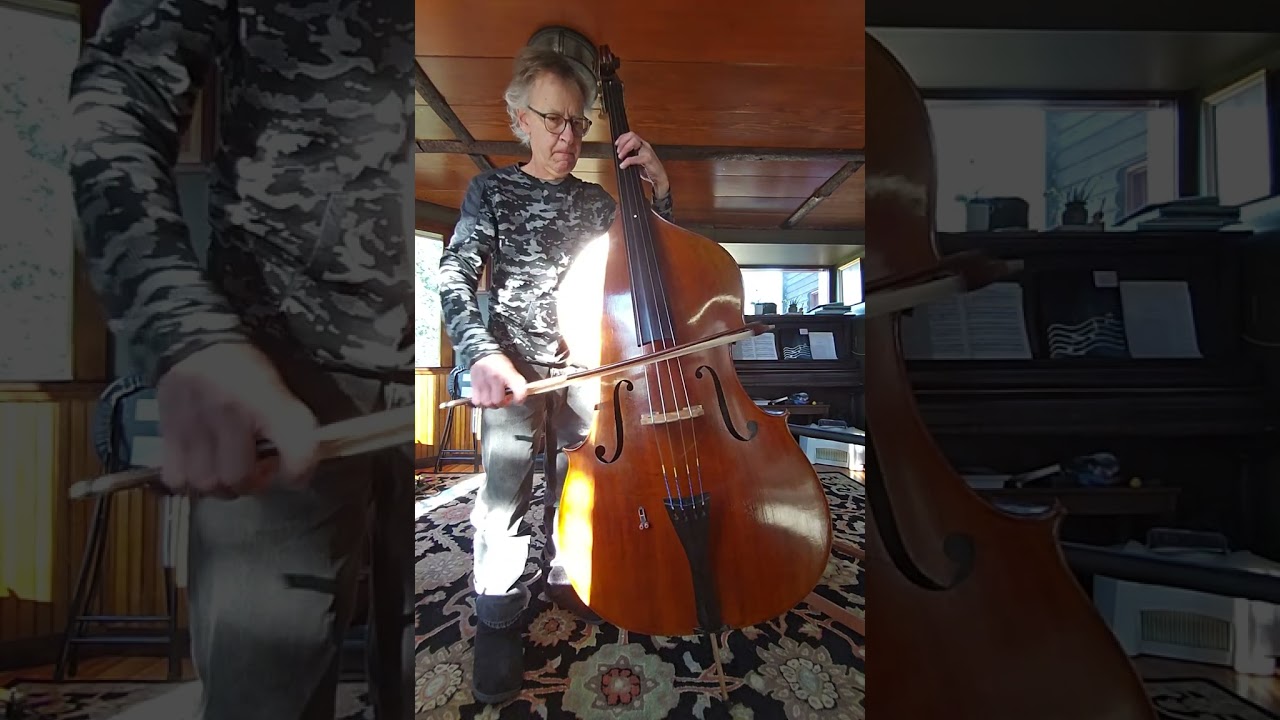 A/B BelCanto to Helicore string change