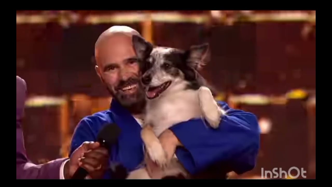 It's im-paw-ssible not to love Adrian Stoica - dog coach and Hurricane. 🐾