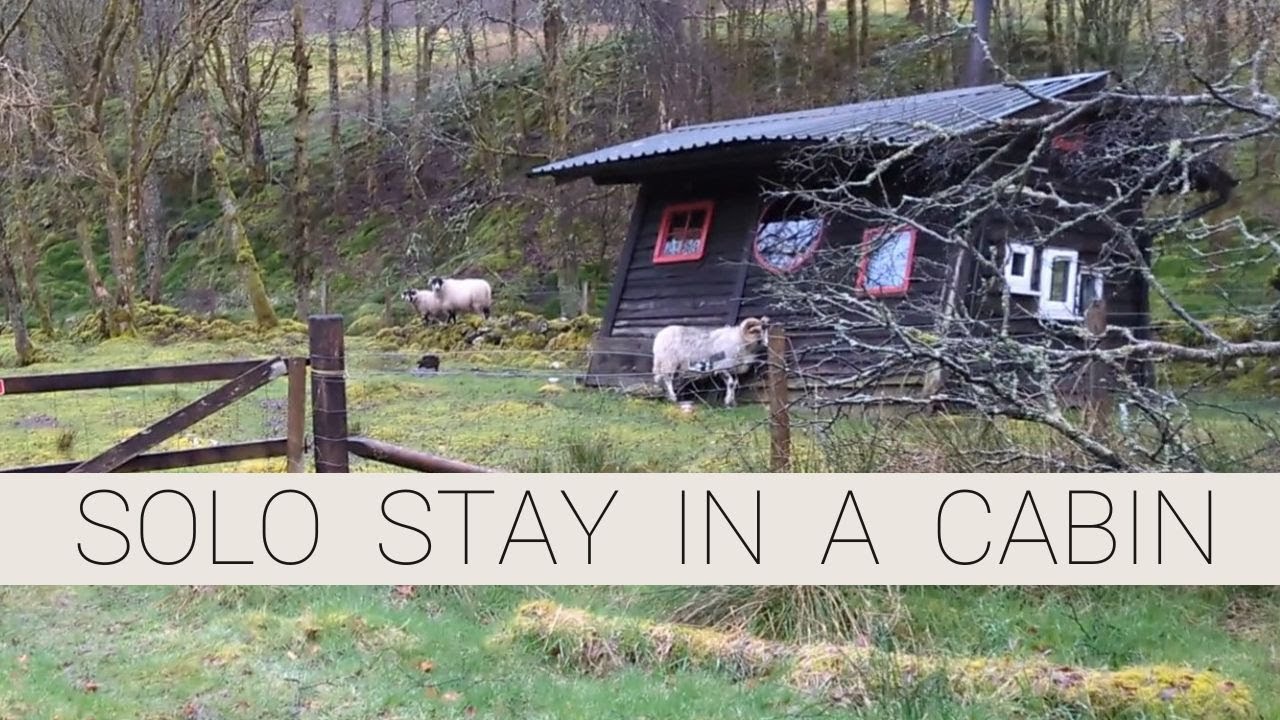 I stayed in a cabin in the woods on my own