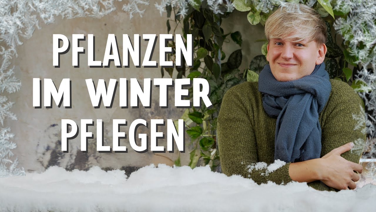 5 Pflegetipps, die deine Zimmerpflanze im Winter SOFORT braucht! 🥶