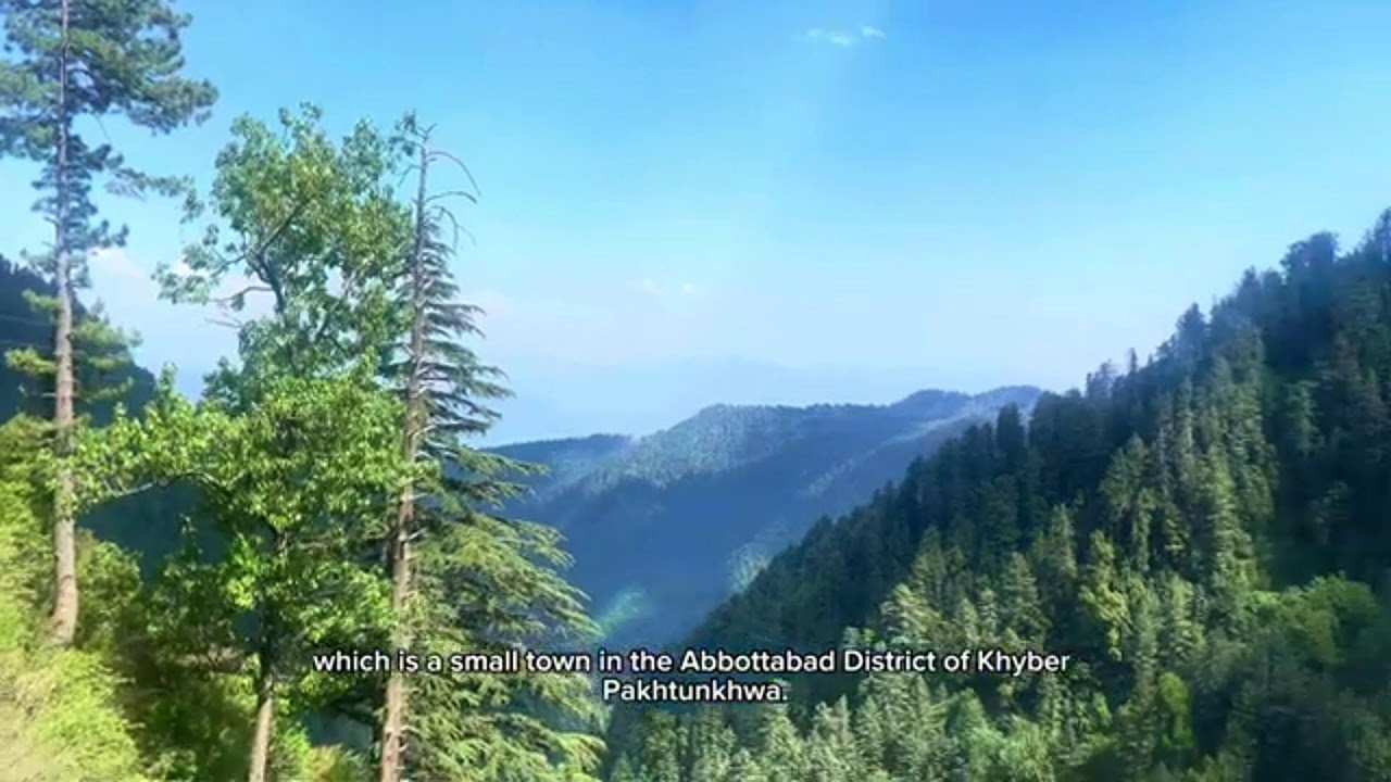 Exploring the Scenic Pipeline Track in Donga Gali, Ayubia National Park