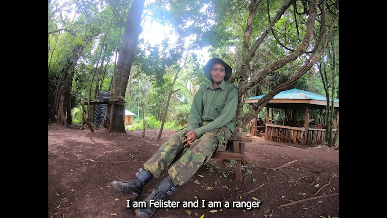 En el Camino. Episode 1: The rangers, a syncretic approach to forest conservation.