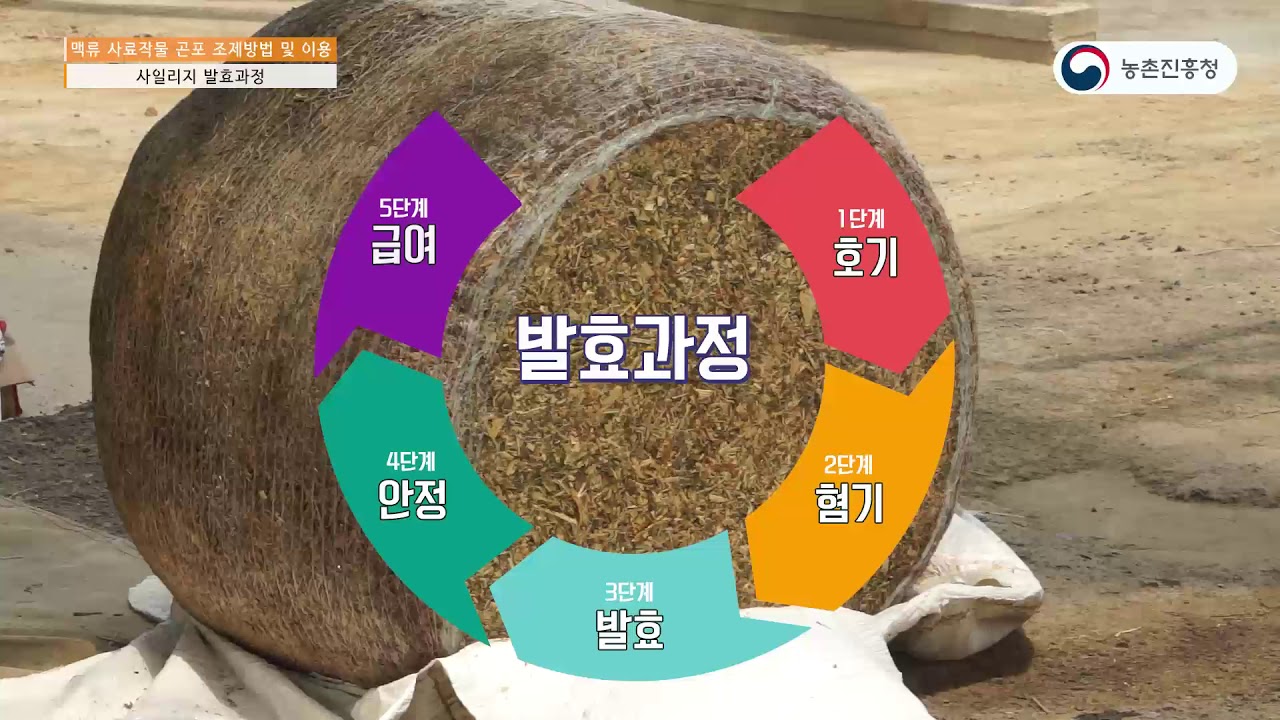 10. 맥류 사료작물 곤포 조제방법 및 이용