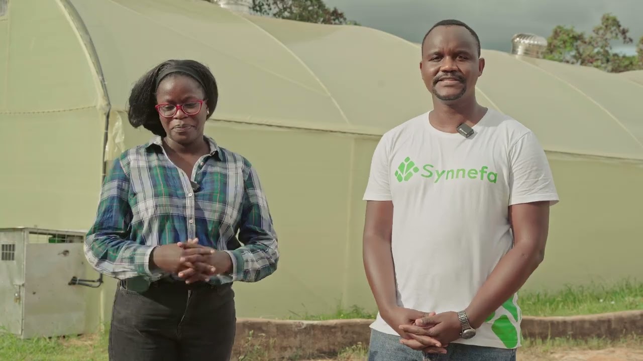 Reducing Post-Harvest Losses with Smart Solar Drying | Iviani Farm, Makueni - Synnefa