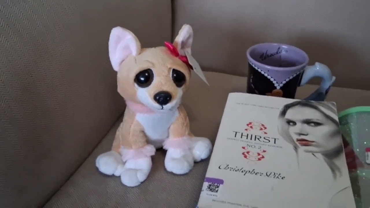 Thrift Haul| April 2025| Goodwill & 360 Thrift